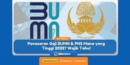 Penasaran Gaji BUMN & PNS Mana yang Tinggi 2025? Wajib Tahu!