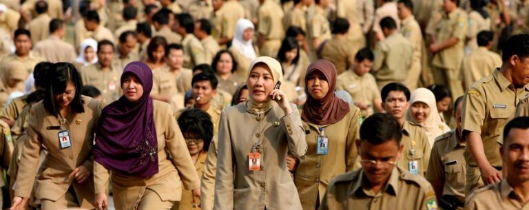 Formasi CPNS S1 Semua Jurusan