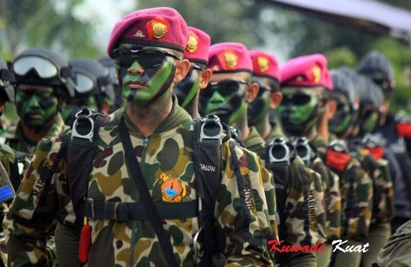 9 Kecabangan TNI AL dalam Operasional Maritim 4 cabang tni al