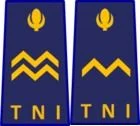 Tingkatan Pangkat TNI AD, AL, AU yang Wajib Diketahui! 14 jenjang pangkat tni