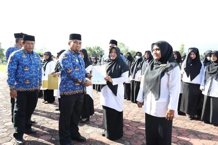 Kontrak PPPK 2024: Daftar Kelebihan dan Kekurangan yang Wajib Diketahui 3 perpanjangan kontrak pppk