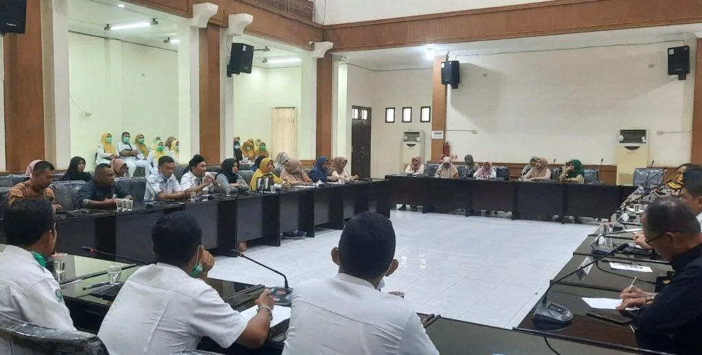 Gagal Daftar PPPK 2024 Akibat SK, Massa Nakes Serbu Kantor DPRK 2 nakes artinya