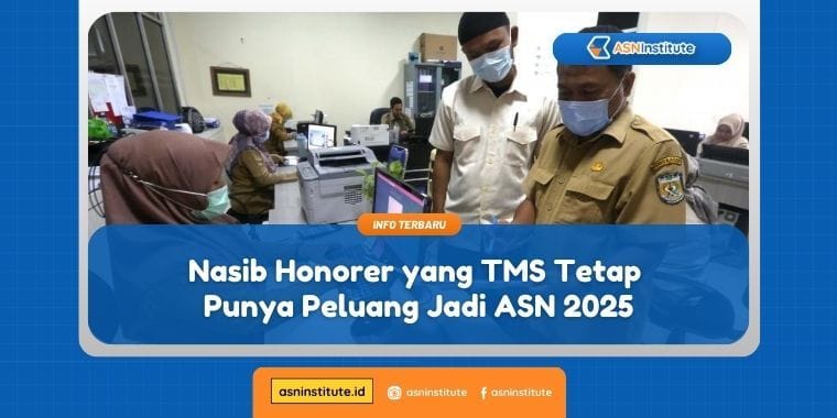 Nasib Honorer yang TMS Tetap Punya Peluang Jadi ASN 2025 7 nasib honorer yang tms