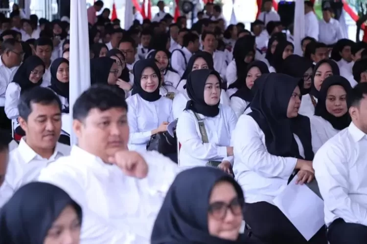 Penting ! Nasib Honorer R3: 1 Jalan Jadi PPPK 3 PPPK honorer r3