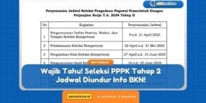 Info CPNS, PPPK, Sekolah Kedinasan 5 seleksi pppk tahap 2