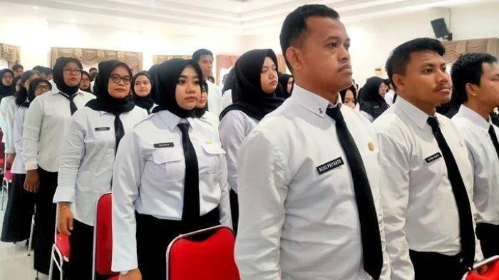 Batas Usia Daftar CPNS Benarkah Menjadi 40 Tahun? Simak Fakta Terbarunya! 3 batas maksimal usia daftar cpns