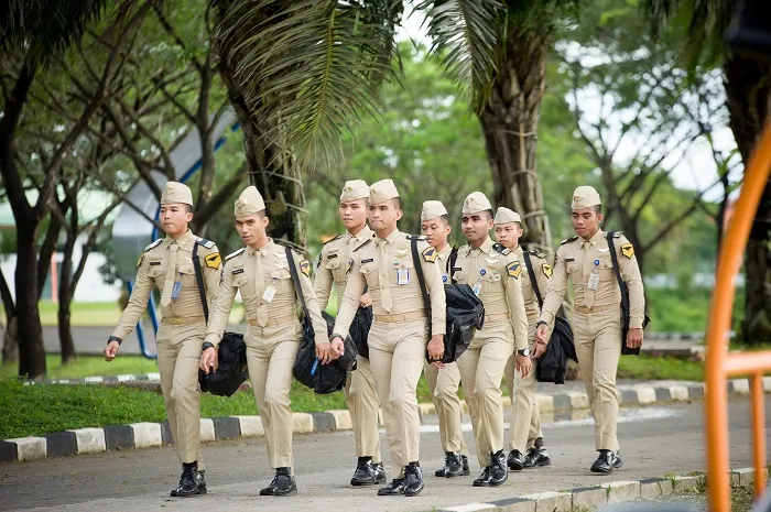 Pola Pembibitan Sekdin 2025: Wajib Tahu Info Jalur & Syarat! 3 pola pembibitan sekolah kedinasan