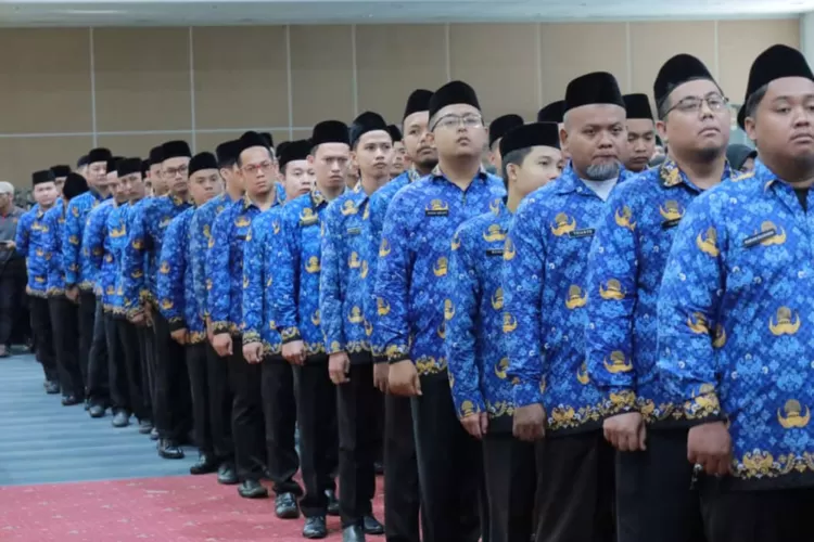 Tidak Lulus PPPK 2024? Wajib Tahu! Nasib Honorer Terjawab! 2 honorer tidak lulus pppk