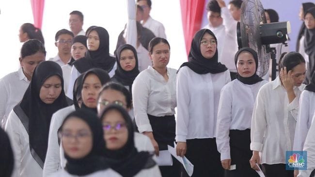 RESMI DIUNDUR! Pengumuman Kelulusan PPPK Tahap 2 2024 2 pengumuman kelulusan pppk tahap 2 diundur