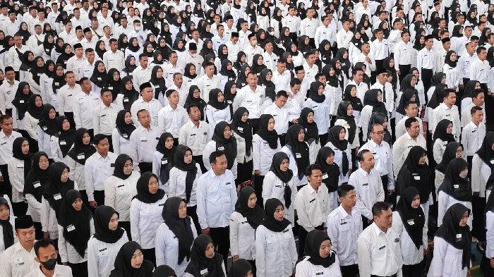 RESMI ! 2.017 Honorer Dirumahkan di Sulsel Ini Alasannya! 3 dirumahkan honorer yang gagal seleksi pppk
