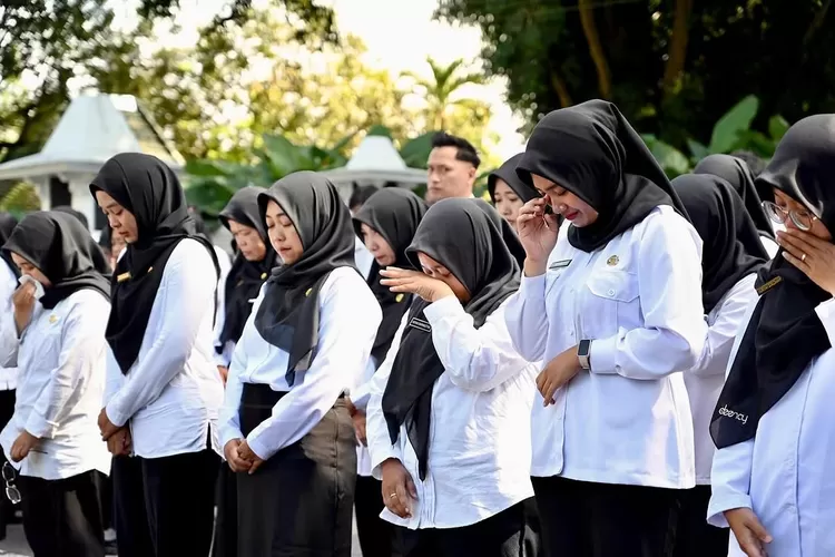Kabar Terbaru! Nasib Honorer R4 Dapat Titik Terang! 2 nasib honorer kode r4 2025