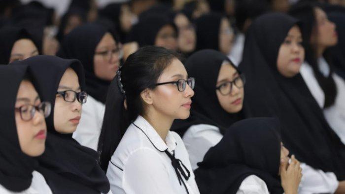 Web Resmi Seleksi CPNS 2025 Kembali Aktif! Isyarat Dibuka? 2 pembukaan seleksi cpns 2025