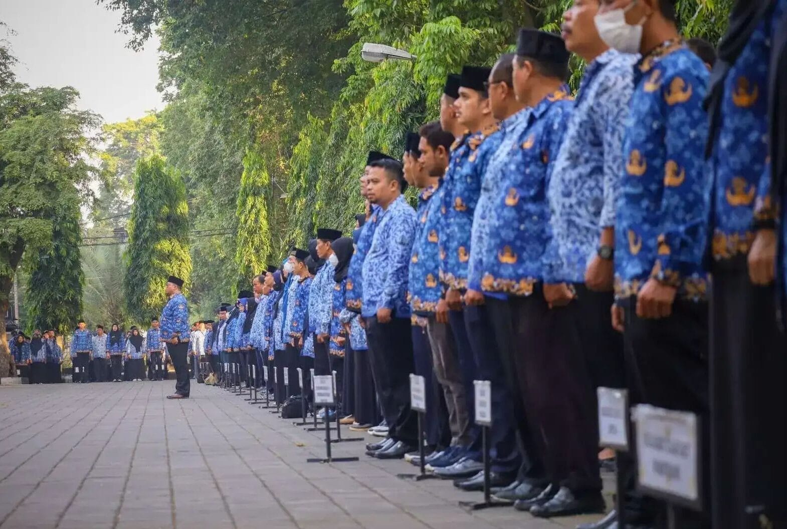 Cek Fakta Mutasi Asn Pns 6 Bulan Pppk Bagaimana