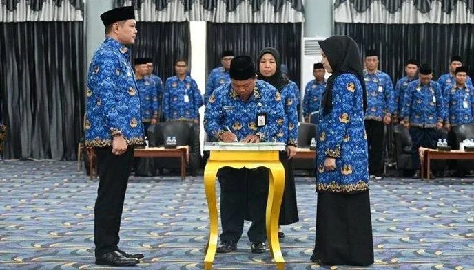 Update Info BKN: 2 Alasan yang Melarang PNS & PPPK Baru Pindah Instansi 3 info bkn pns pppk baru tak langsung minta pindah