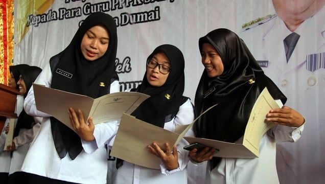 Pengenalan & Jenis Jabatan PPPK 2025 Sesuai Aturan Terbaru 3 kelas jabatan pppk