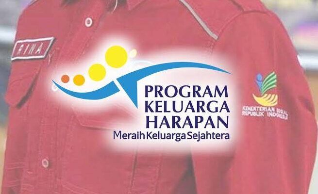Kabar Gembira ! 33.000 Pendamping PKH Bakal Diangkat ASN 1 pendamping pkh