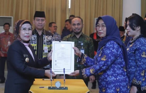 Jamin Masa Depan! 5 Keuntungan PPPK yang Wajib Diketahui! 3 keuntungan p3k