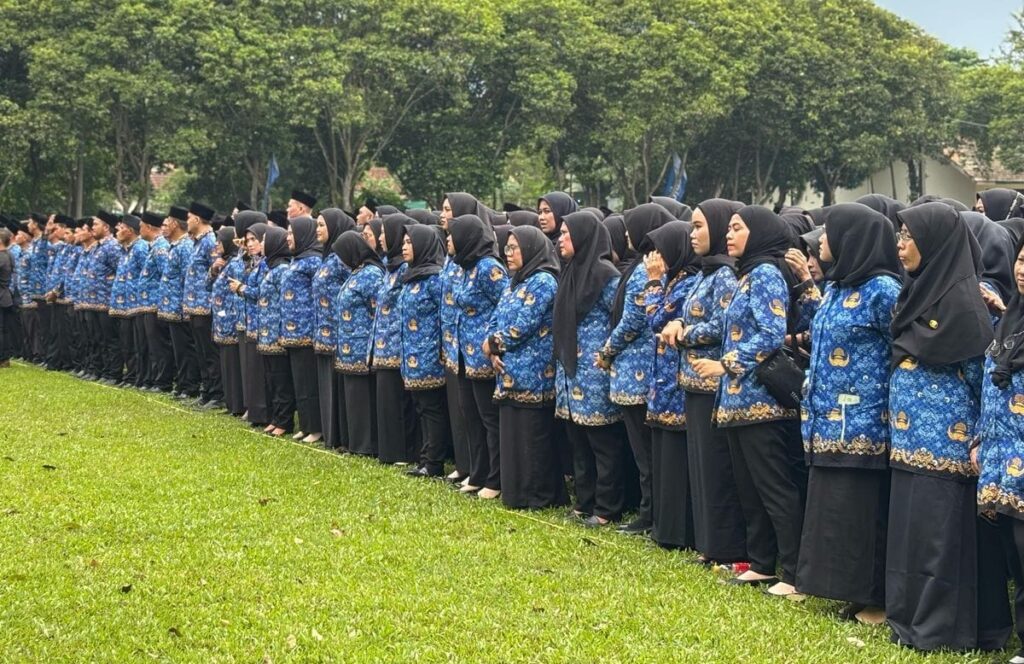 Wajib Tahu! Aturan Penempatan PPPK & Mekanisme Baru 2025 1 penempatan pppk