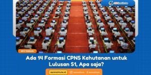 formasi cpns kehutanan
