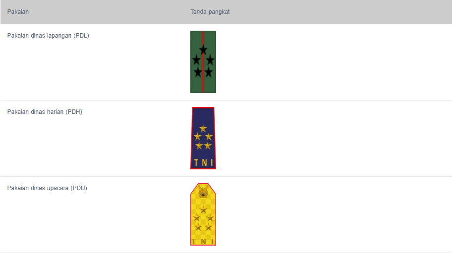 Simak! Ini 5 Urutan Pangkat TNI AU dari Prada sampai Marsekal 9 image 1