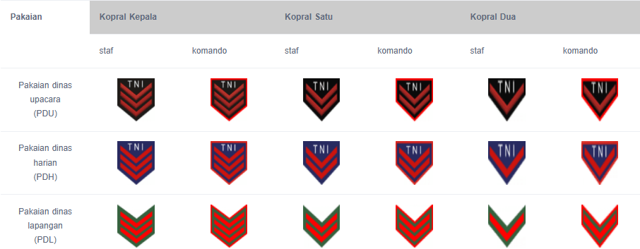 Simak! Ini 5 Urutan Pangkat TNI AU dari Prada sampai Marsekal 3 image 4