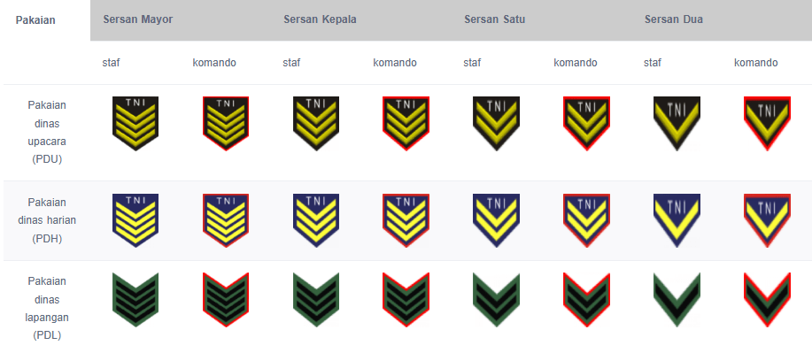 Simak! Ini 5 Urutan Pangkat TNI AU dari Prada sampai Marsekal 4 image 5